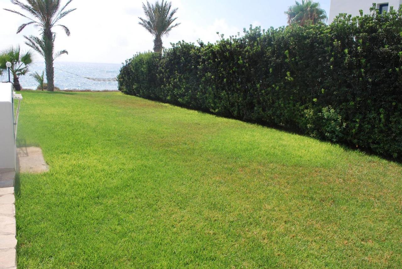 Sea Front Villa, Heated Private Pool, Amazing Location Paphos 323 基索内加 外观 照片