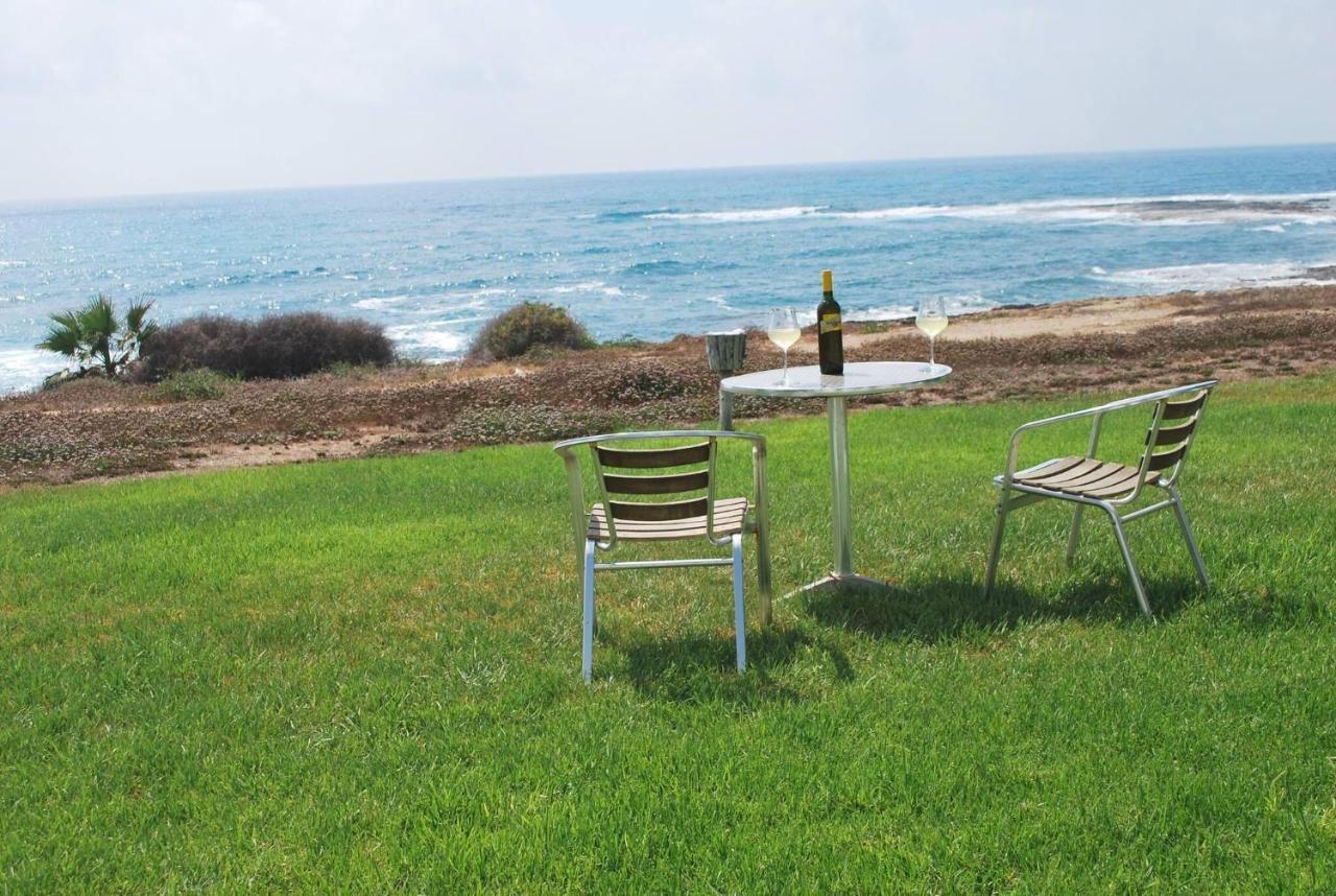 Sea Front Villa, Heated Private Pool, Amazing Location Paphos 323 基索内加 外观 照片